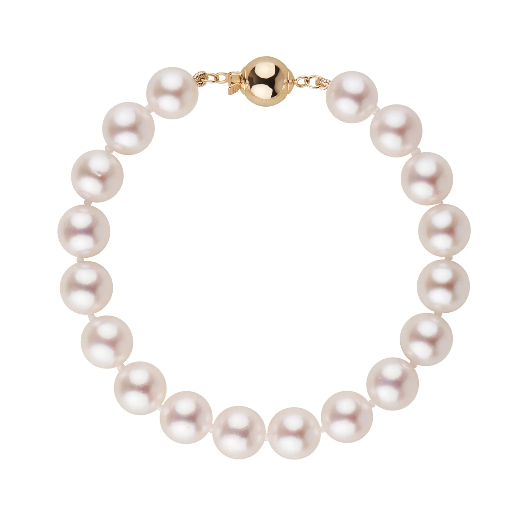 8.0-8.5 mm AA  Bright White Rose Tone Akoya Pearl Bracelet