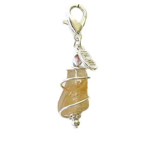 Citrine Healing Dog Collar Charm Pawmulet