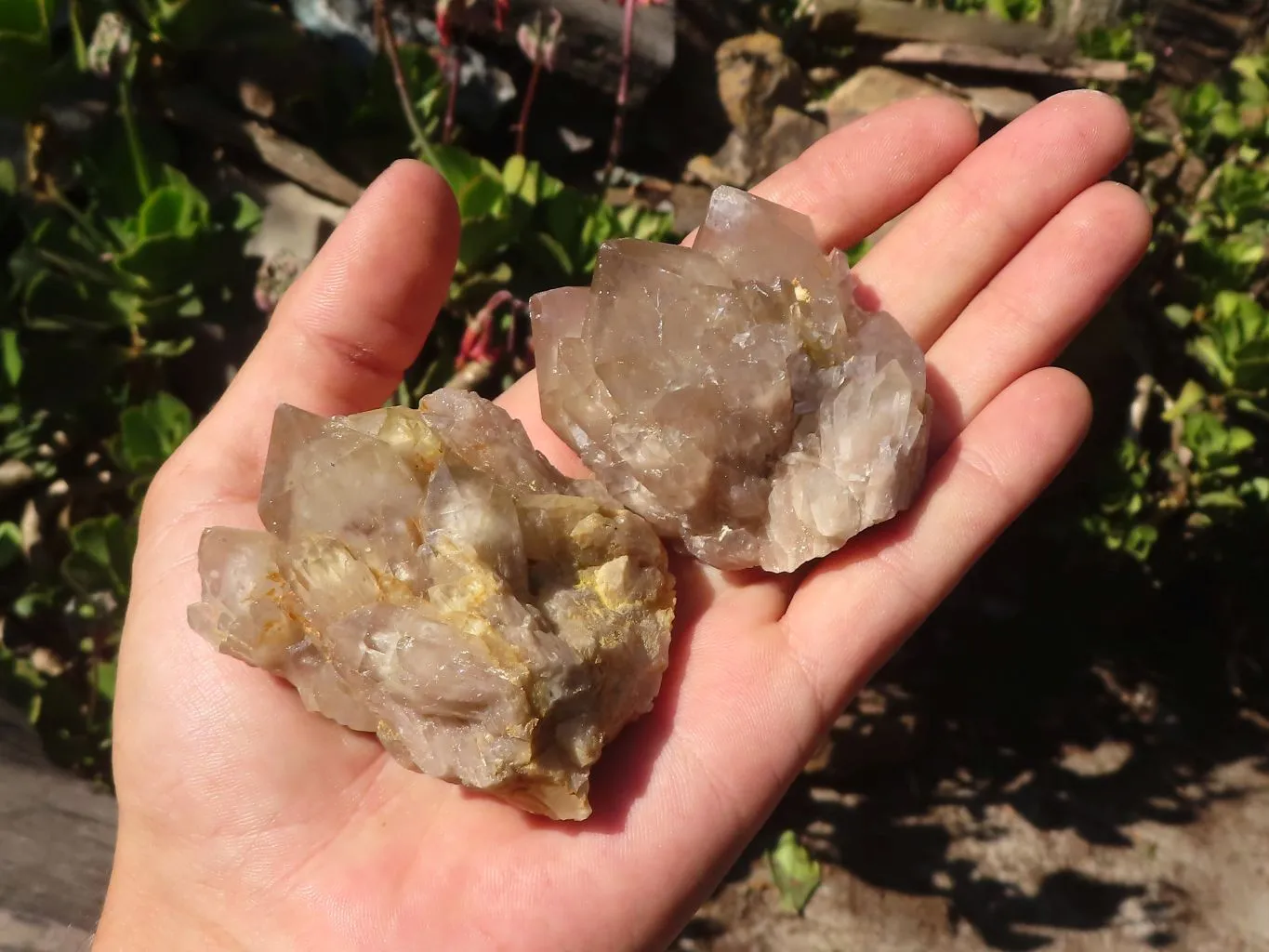 Natural Cascading White Phantom Smokey Quartz Clusters x 16 From Luena, Congo