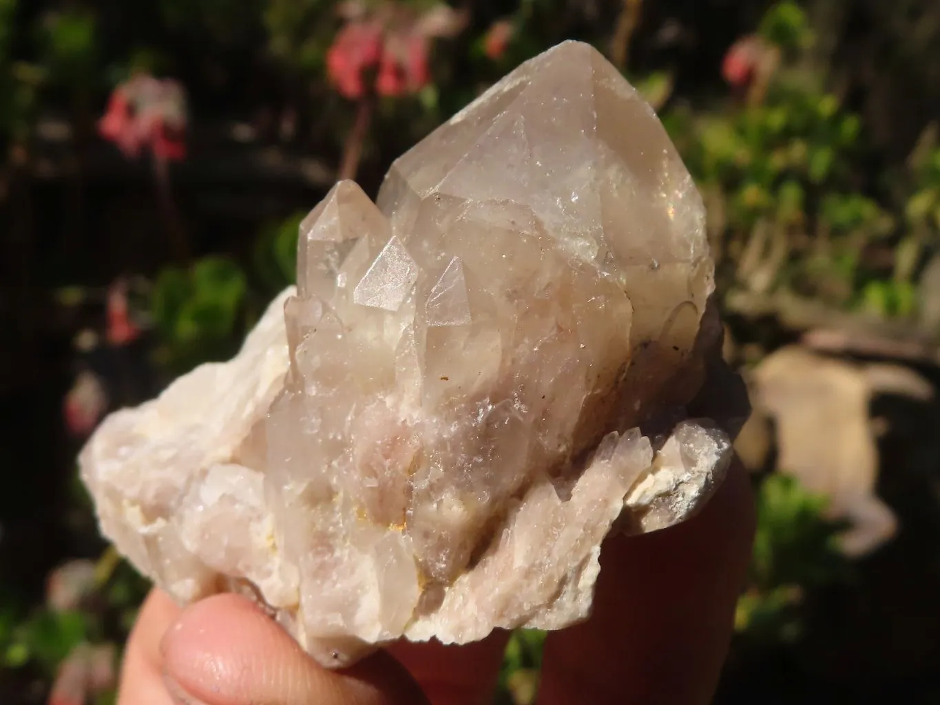 Natural Cascading White Phantom Smokey Quartz Clusters x 16 From Luena, Congo