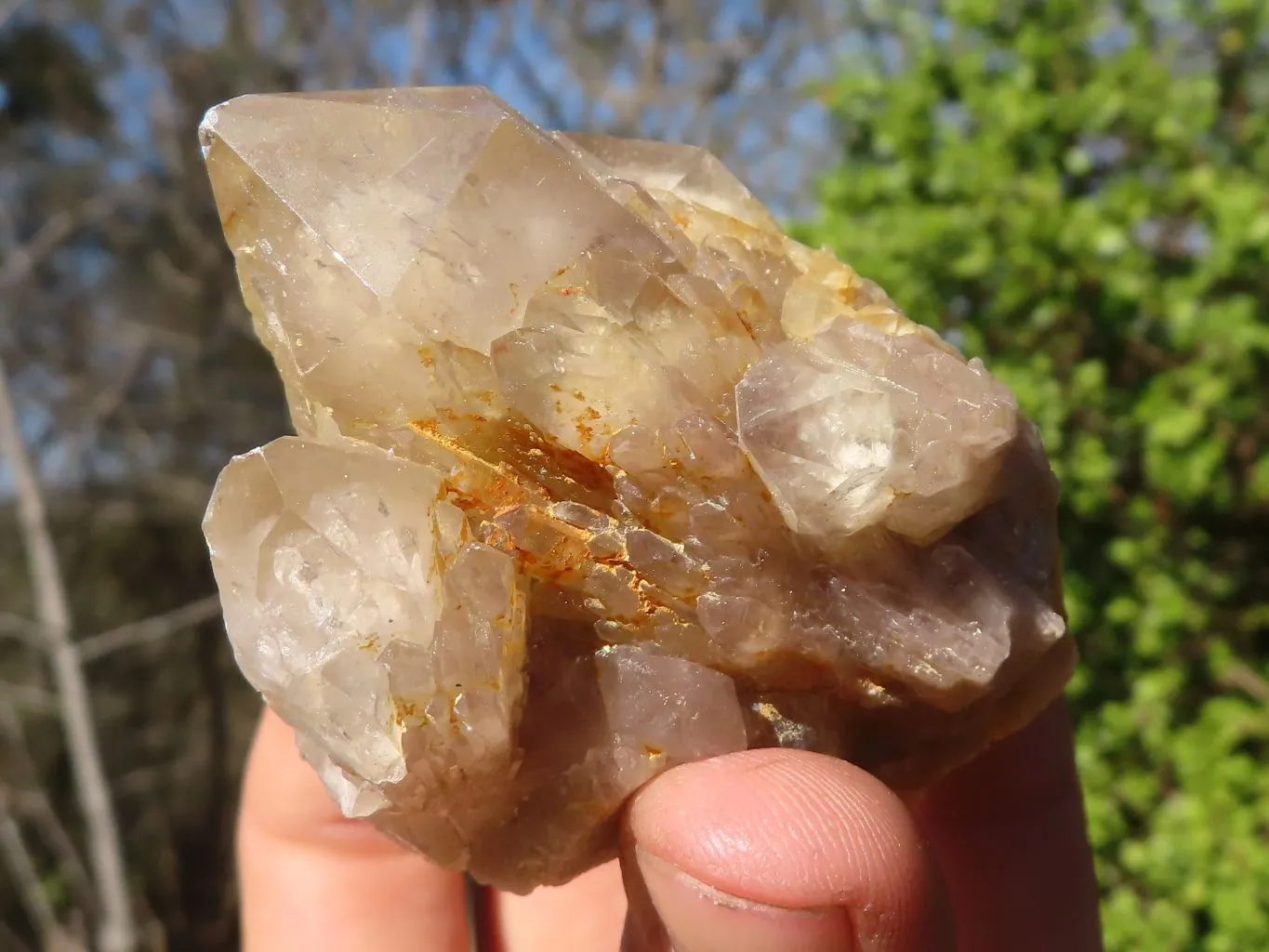 Natural Cascading White Phantom Smokey Quartz Clusters x 16 From Luena, Congo