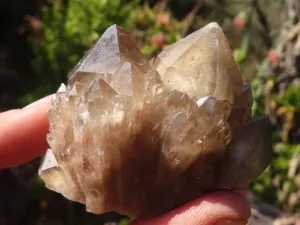 Natural Cascading White Phantom Smokey Quartz Clusters x 16 From Luena, Congo