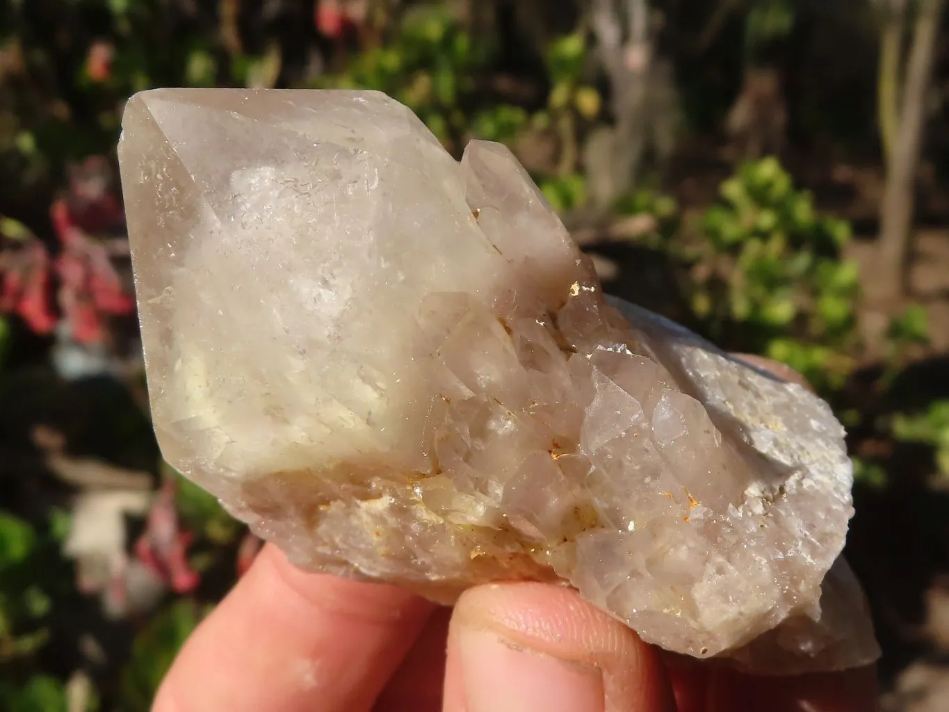 Natural Cascading White Phantom Smokey Quartz Clusters x 16 From Luena, Congo