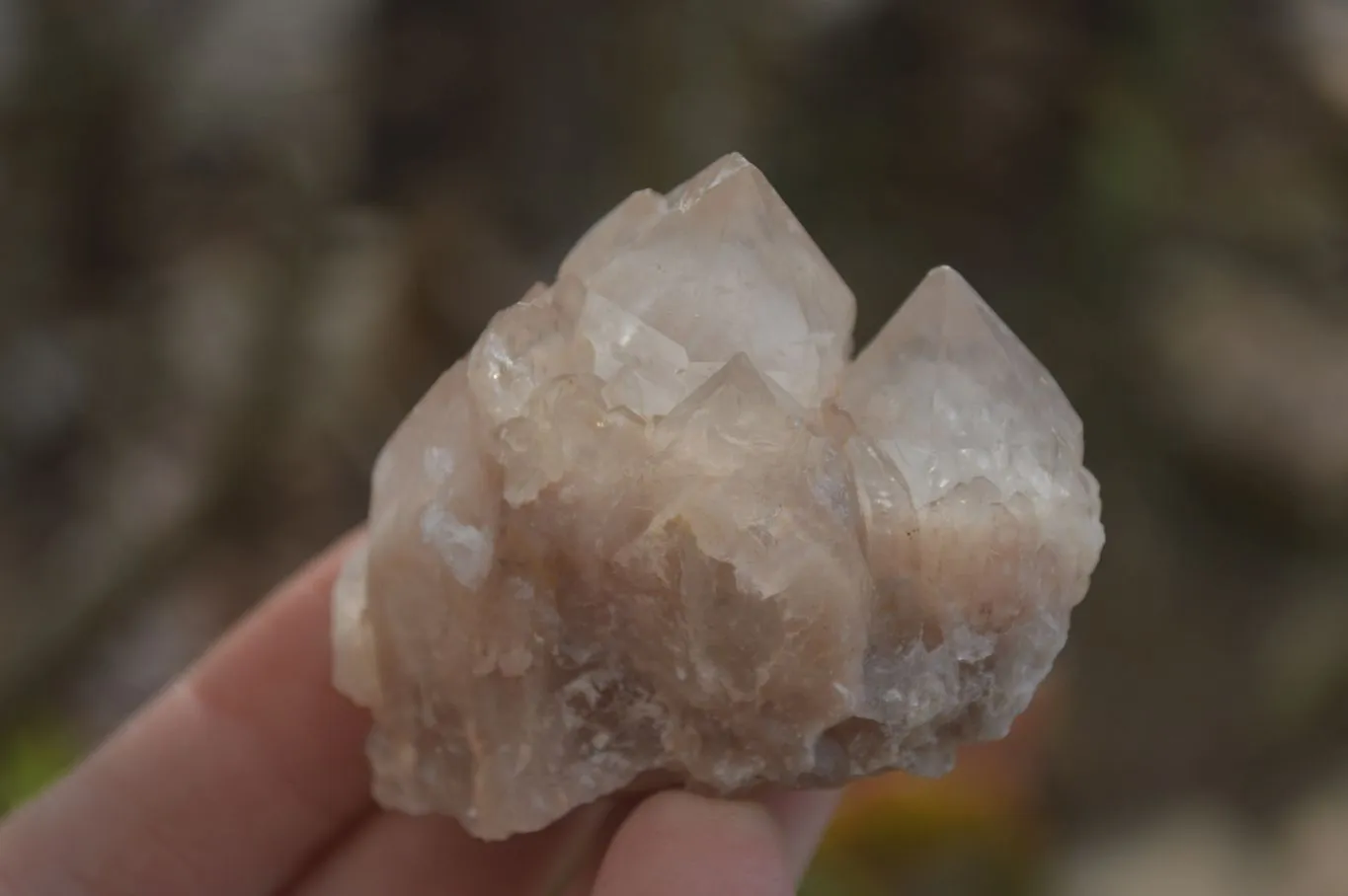 Natural Smokey Phantom Quartz Clusters x 12 From Luena, Congo