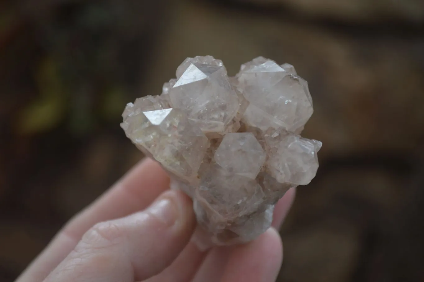 Natural Smokey Phantom Quartz Clusters x 12 From Luena, Congo