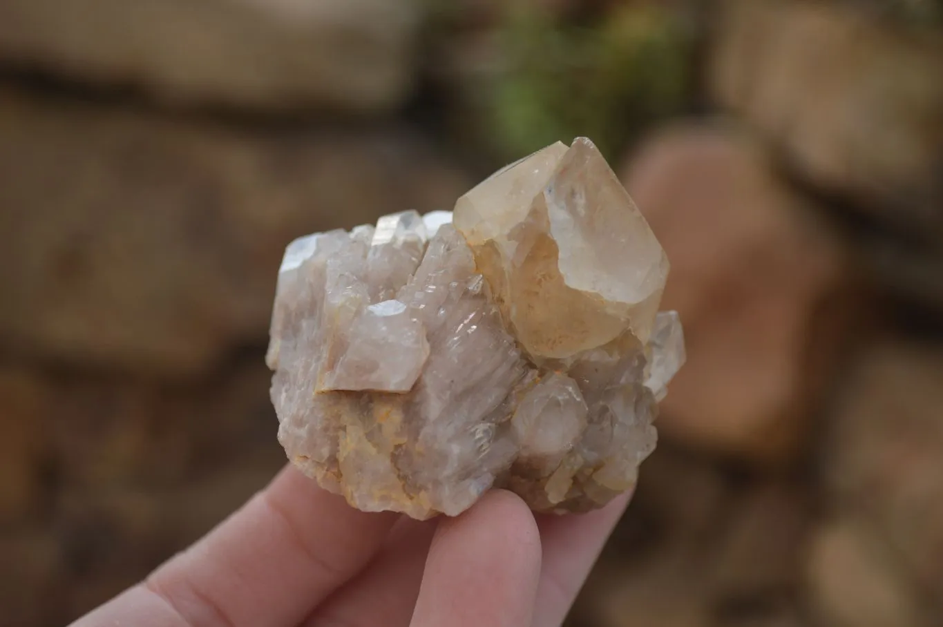 Natural Smokey Phantom Quartz Clusters x 12 From Luena, Congo