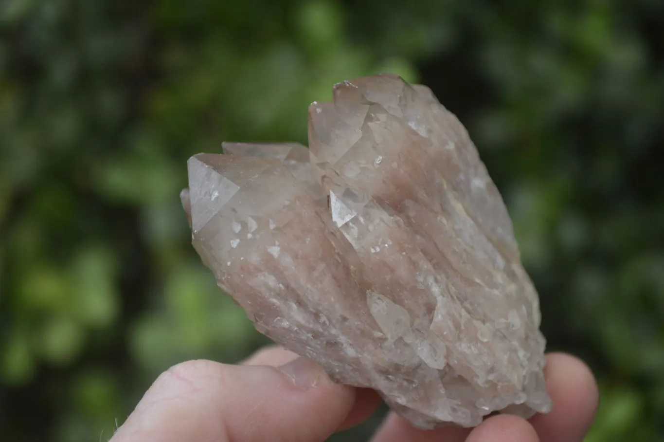 Natural Smokey Phantom Quartz Clusters x 12 From Luena, Congo