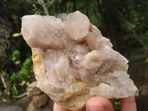 Natural White Phantom Smokey Quartz Clusters x 4 From Luena, Congo