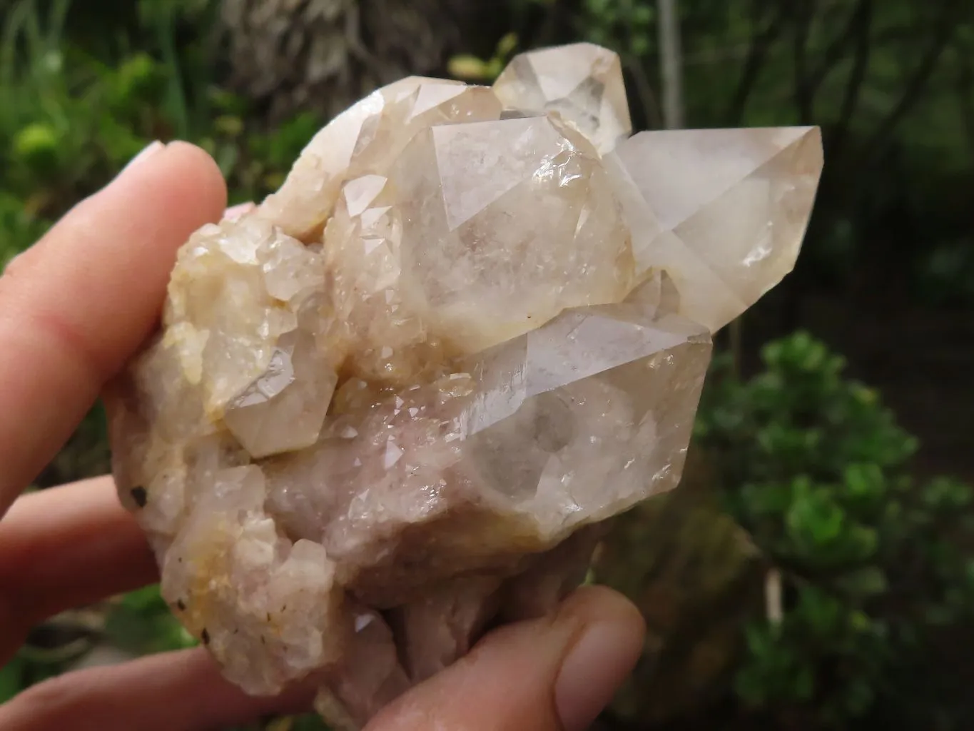 Natural White Phantom Smokey Quartz Clusters x 4 From Luena, Congo