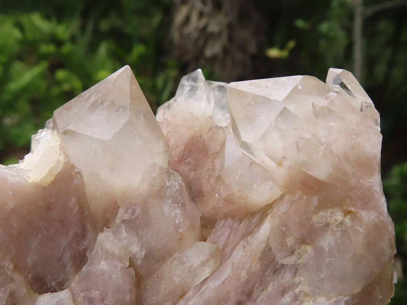 Natural White Phantom Smokey Quartz Clusters x 4 From Luena, Congo