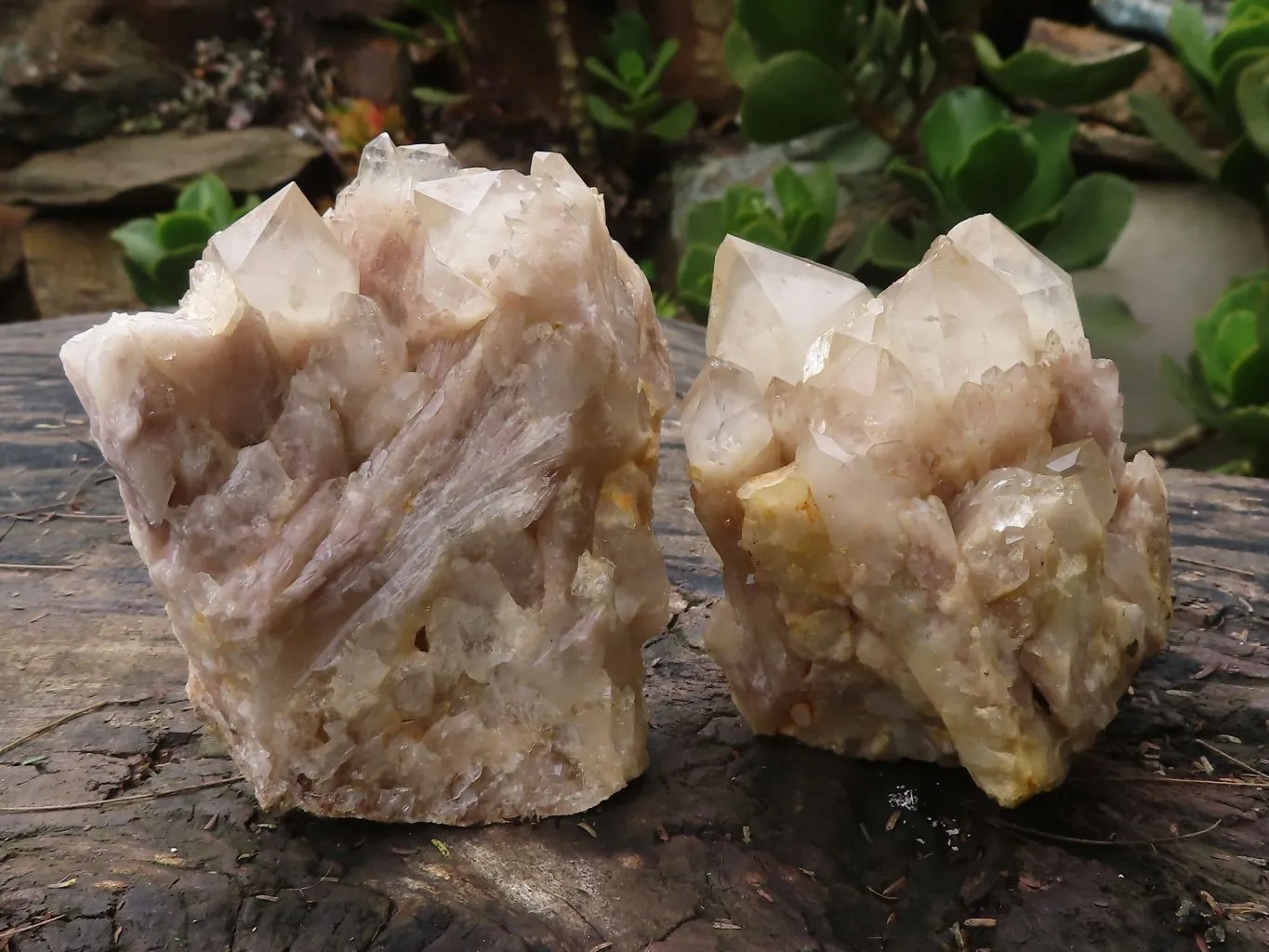 Natural White Phantom Smokey Quartz Clusters x 4 From Luena, Congo