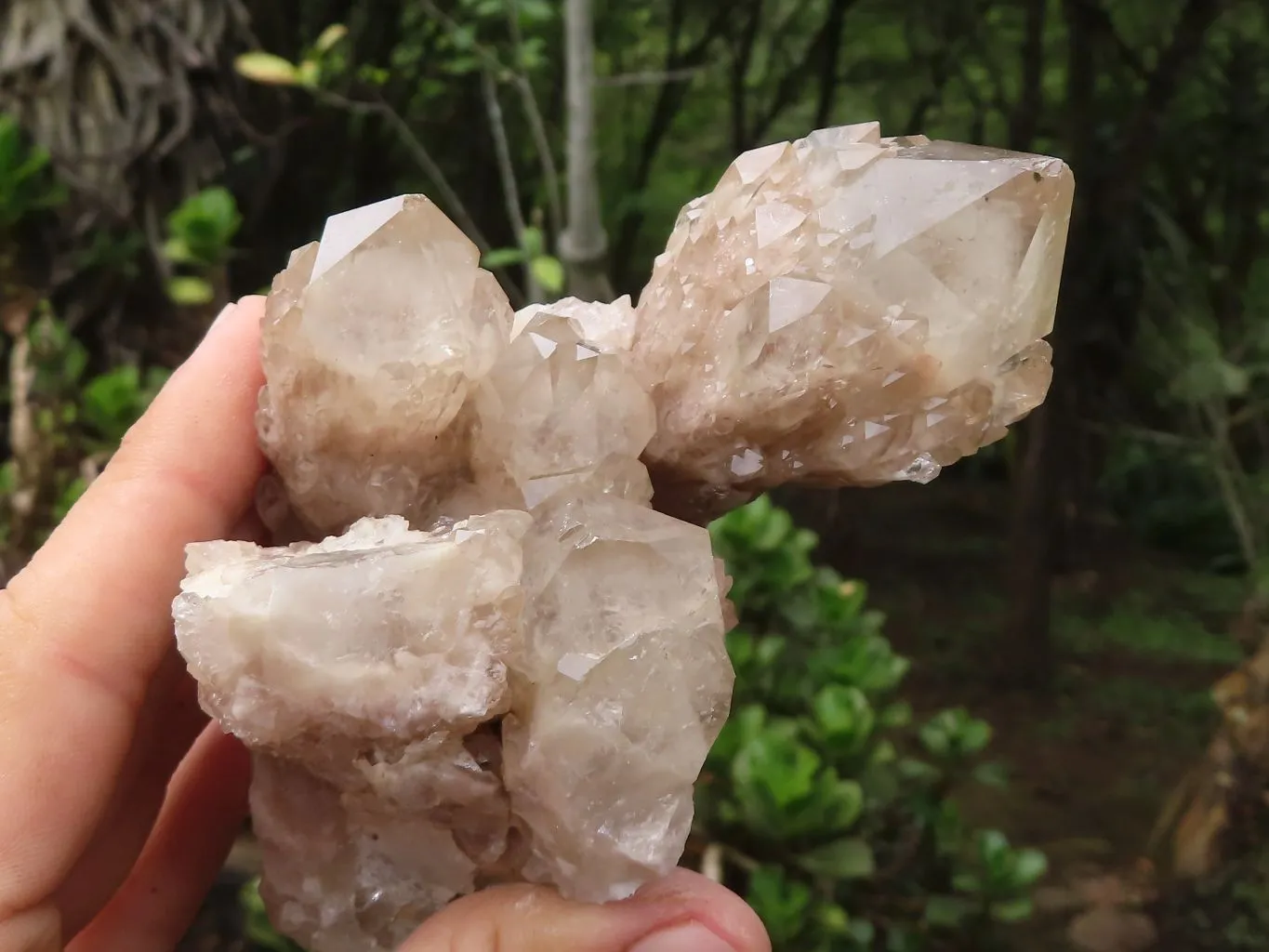 Natural White Phantom Smokey Quartz Clusters x 4 From Luena, Congo