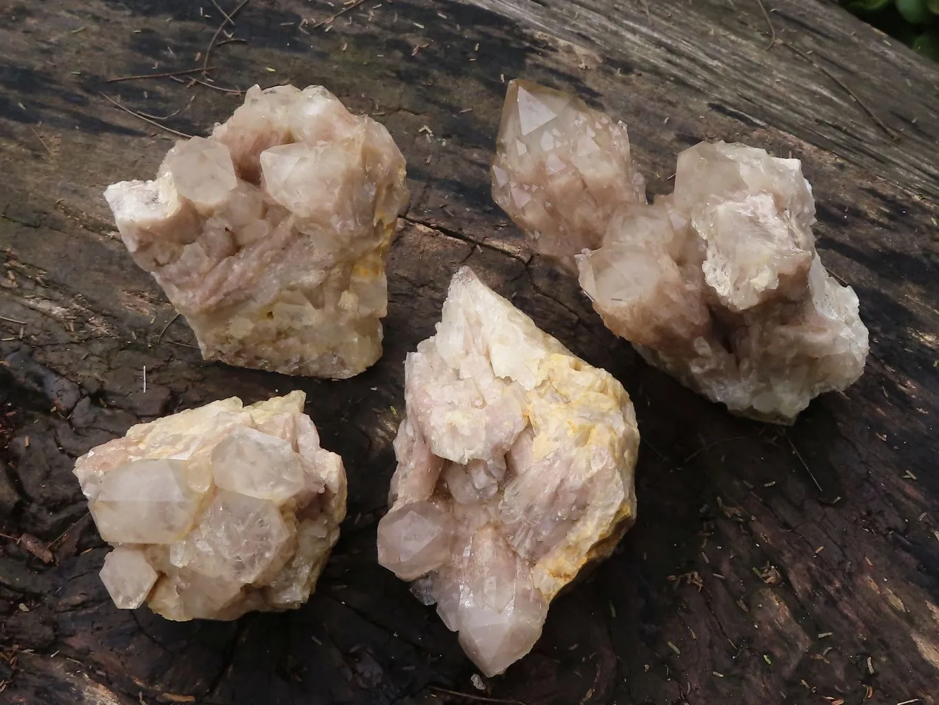 Natural White Phantom Smokey Quartz Clusters x 4 From Luena, Congo