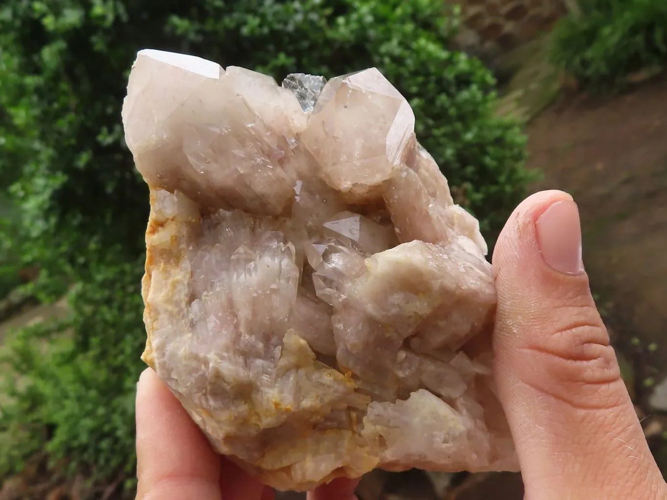 Natural White Phantom Smokey Quartz Clusters x 4 From Luena, Congo