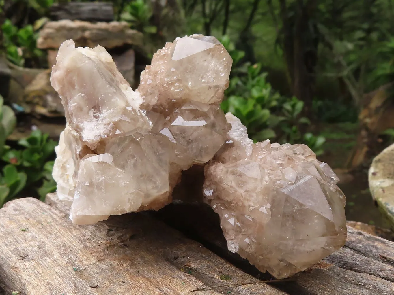 Natural White Phantom Smokey Quartz Clusters x 4 From Luena, Congo