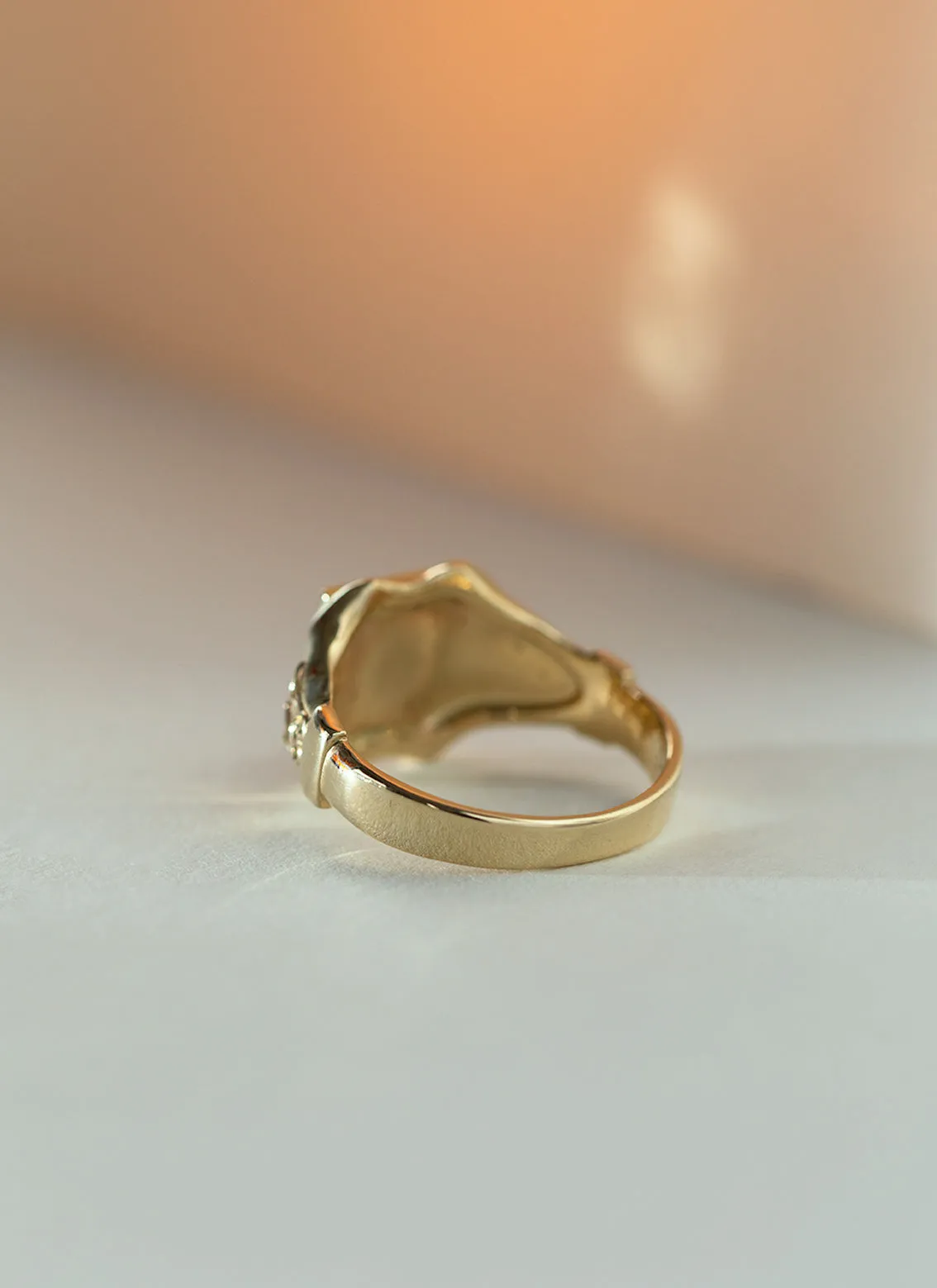 The gent lenny signet ring 14k gold