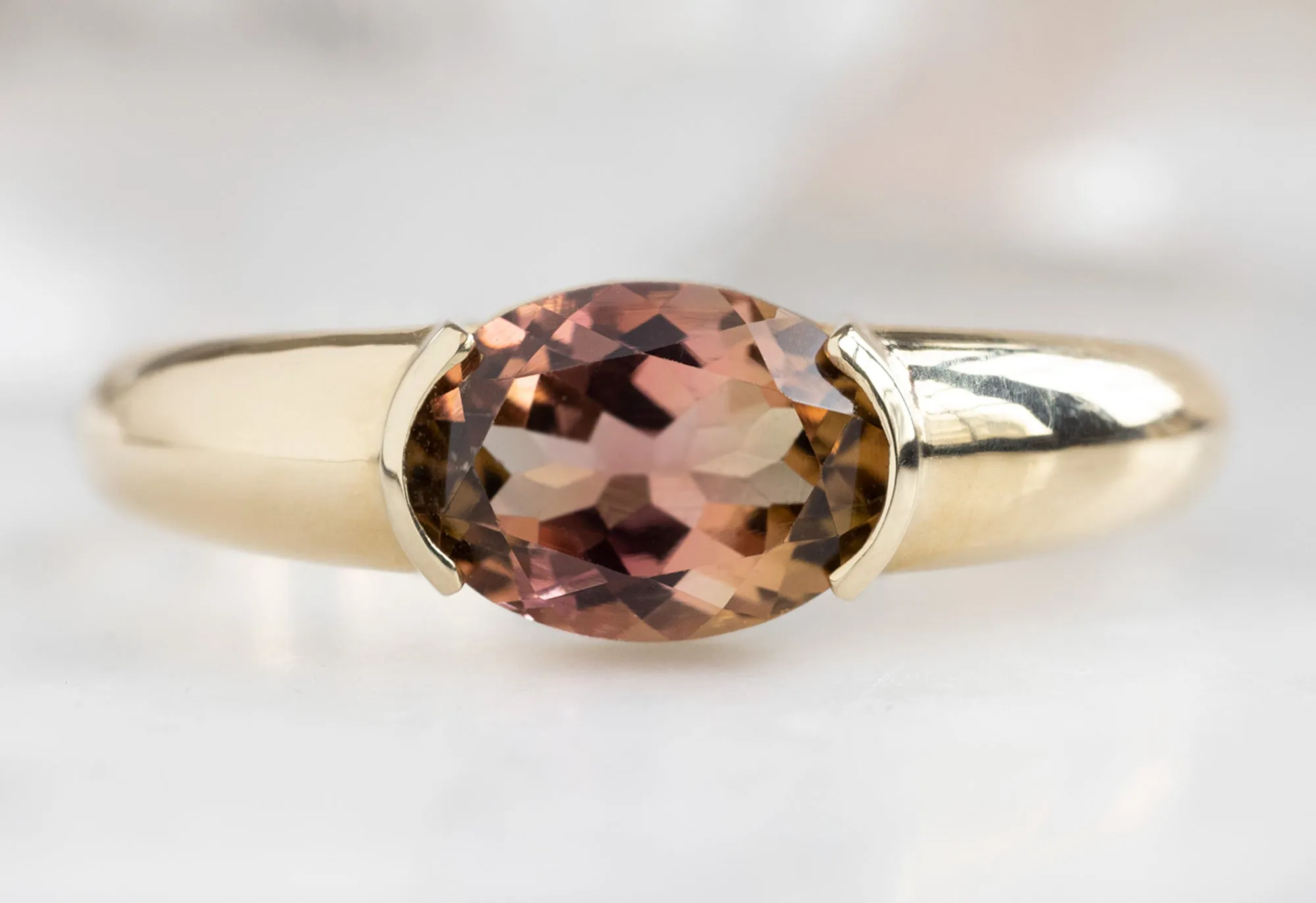 The Signet Ring with a 1.21ct Oval-Cut Bicolor Tourmaline